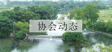 协会动态