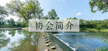 协会简介