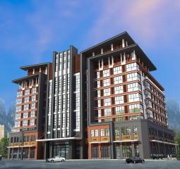 广西蓝天科技股份有限公司（副会长）